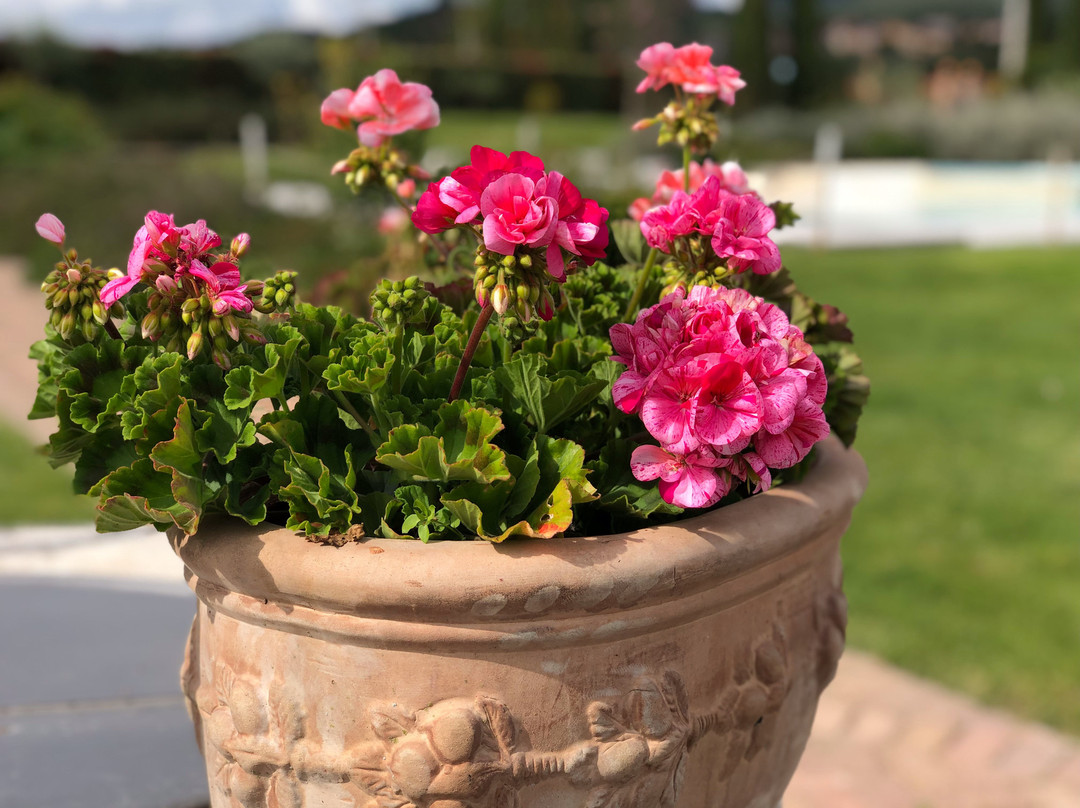 Anna Boccali Resort主图