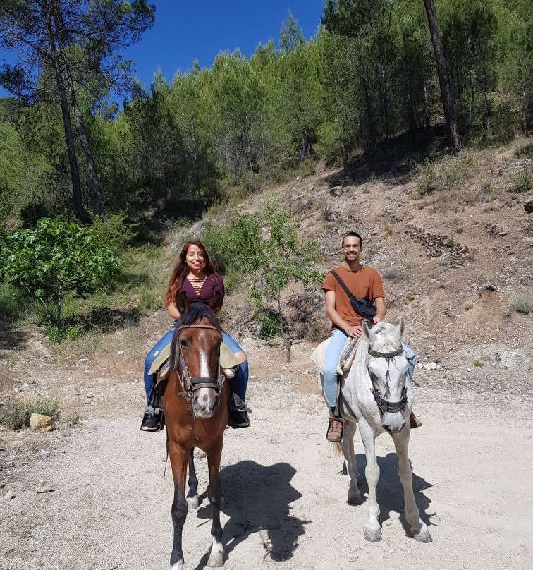 La Posada de Colomera主图