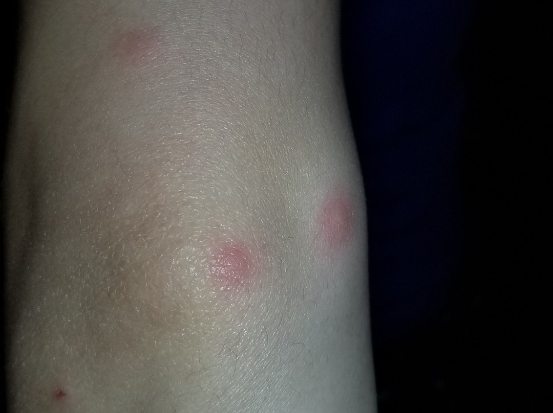 Chelan Resort Suites主图