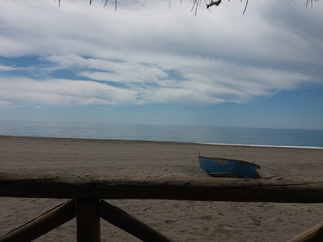 Playa El Morche景点图片