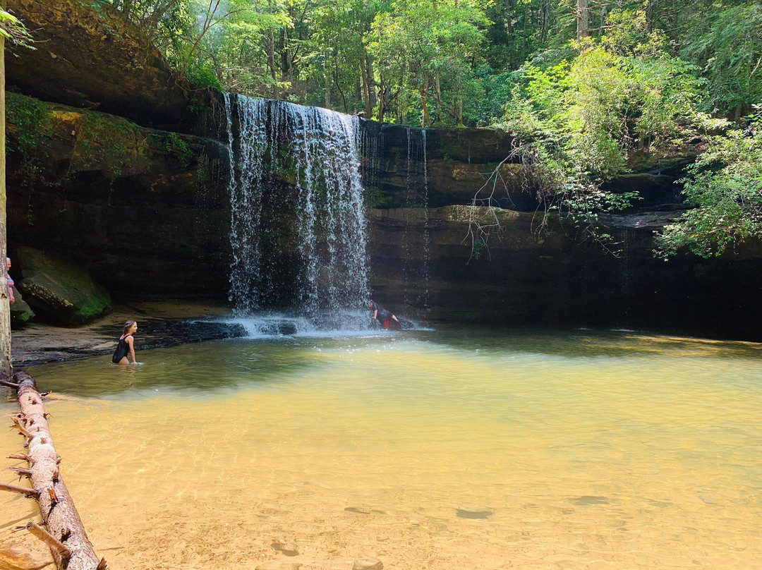 William Bankhead National Forest-Double Springs必去景点