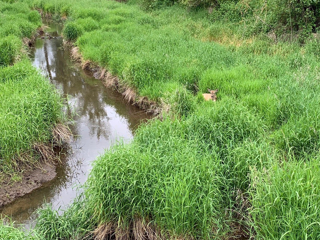 Steigerwald Lake National Wildlife Refuge-Washougal必去景点