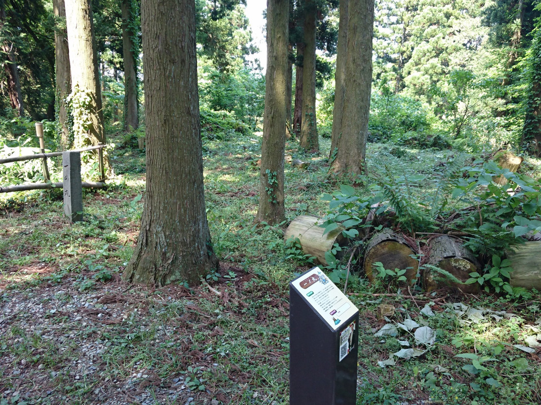 Masuyama Castle Ruins景点图片