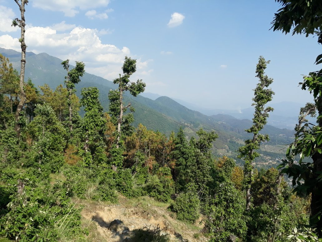 Birni Devi Temple景点图片
