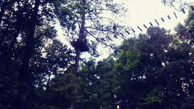 Treetop Quest Dunwoody-Dunwoody必去景点