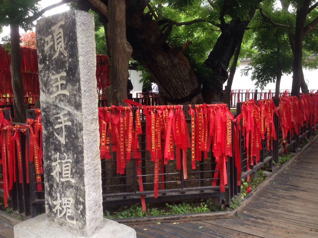 项王故里景点图片