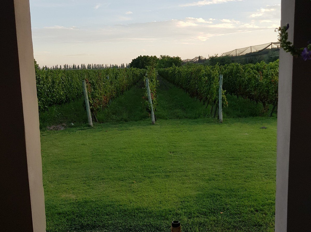 Posada Cavieres Wine Farm主图