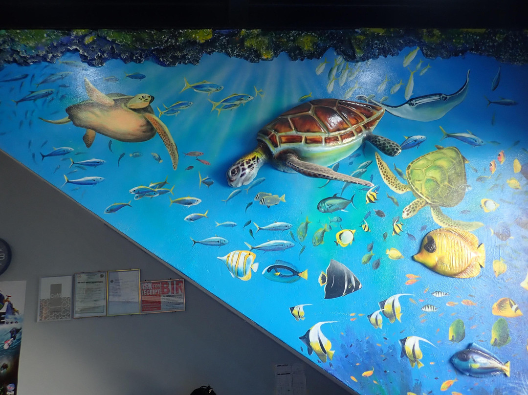 Amigos Dive Centre-莫阿尔博阿尔必去景点