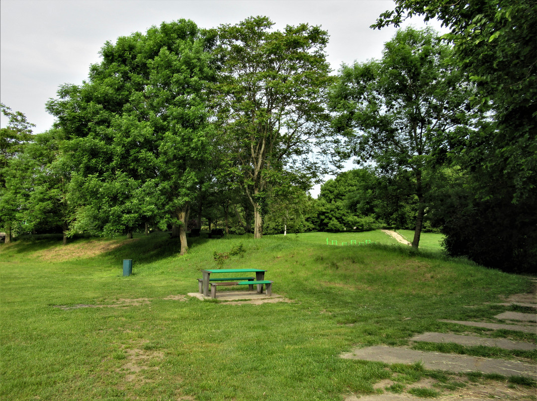 Parc départemental de la bergère景点图片