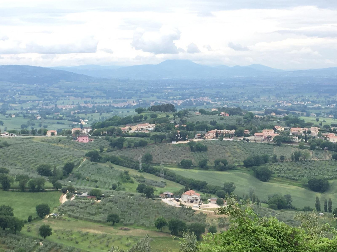 Villa Roncalli主图