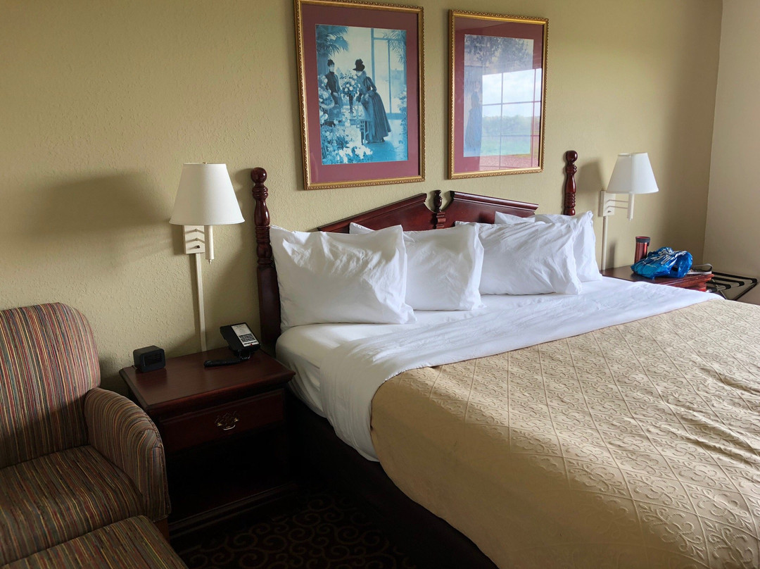 Irish House Hotel主图