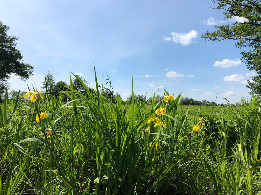 Spreewald Biosphere Reserve-Raddusch必去景点