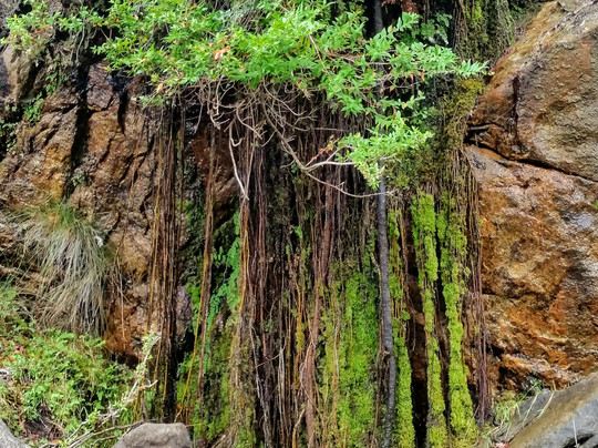Naxos Hiking-纳克索斯必去景点