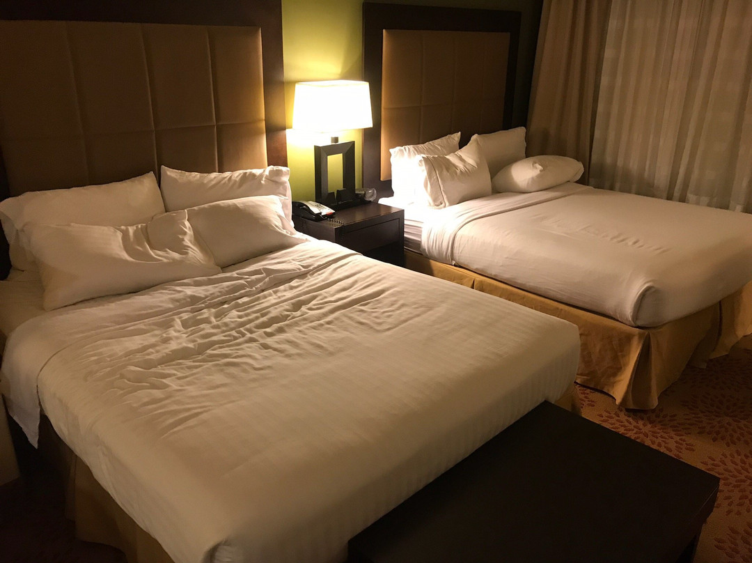 Silt酒店住宿-希尔特来福快捷假日套房酒店