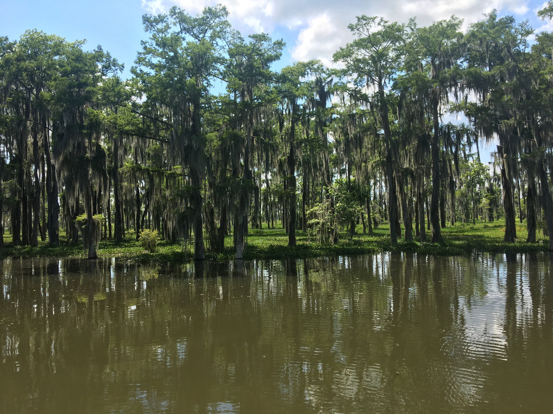 Cajun Man's Swamp Tours & Adventures景点图片