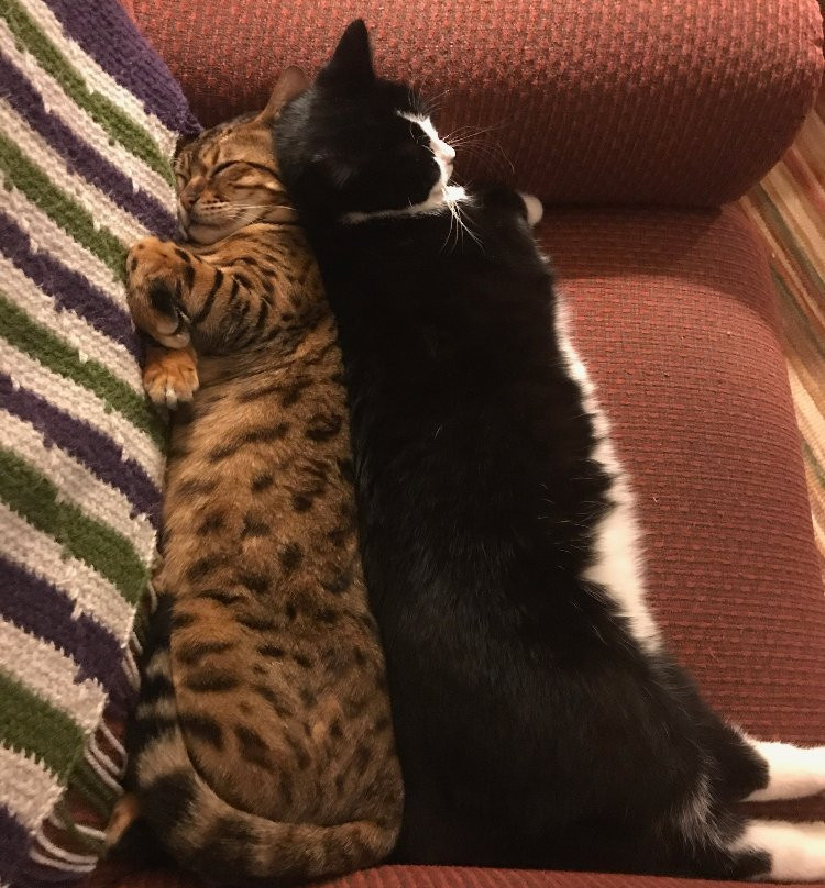 Best Kept Secret B & B主图