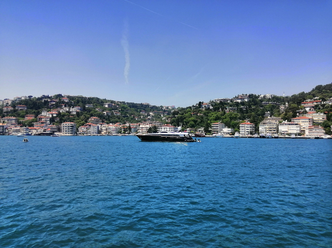 Istanbul Tours 101景点图片