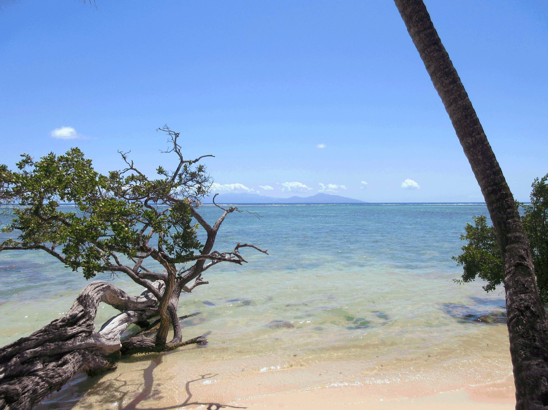 Restaurant La Poesie Des Plats