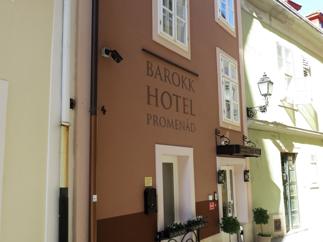 Barokk Hotel Promenad主图