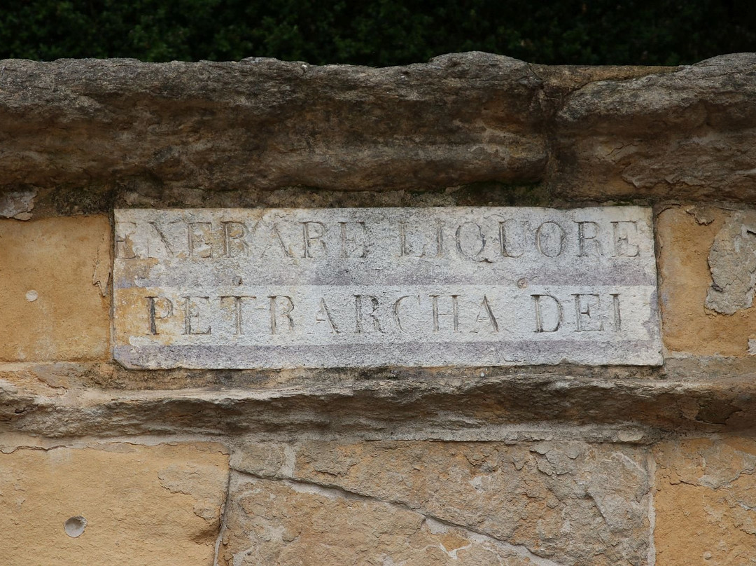 La fontana del Petrarca景点图片