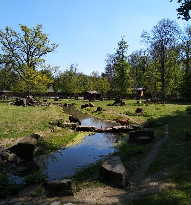 Lindenthaler Tierpark-科隆必去景点