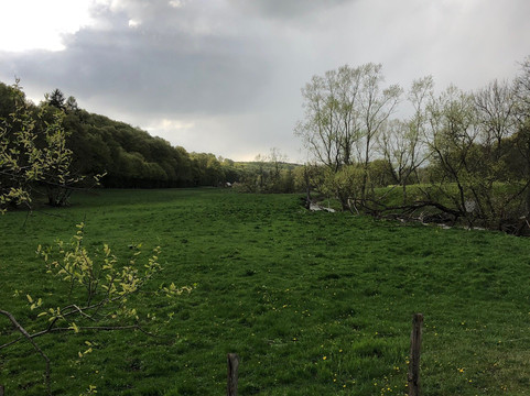 Fyledalen-Tomelilla必去景点