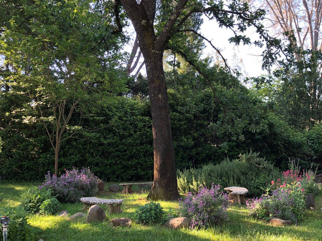 Backyard Garden Oasis B&B主图