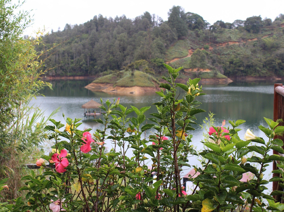 Hotel Pietrasanta主图