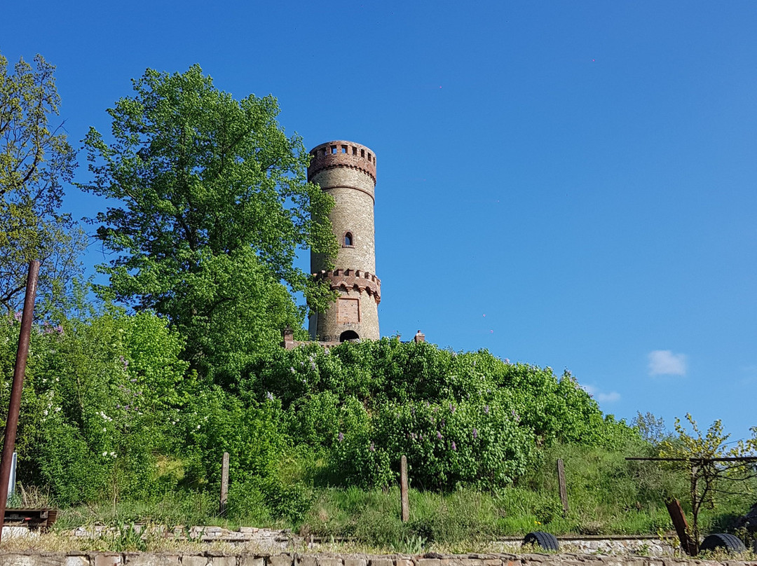 Lookout tower Cedynia景点图片