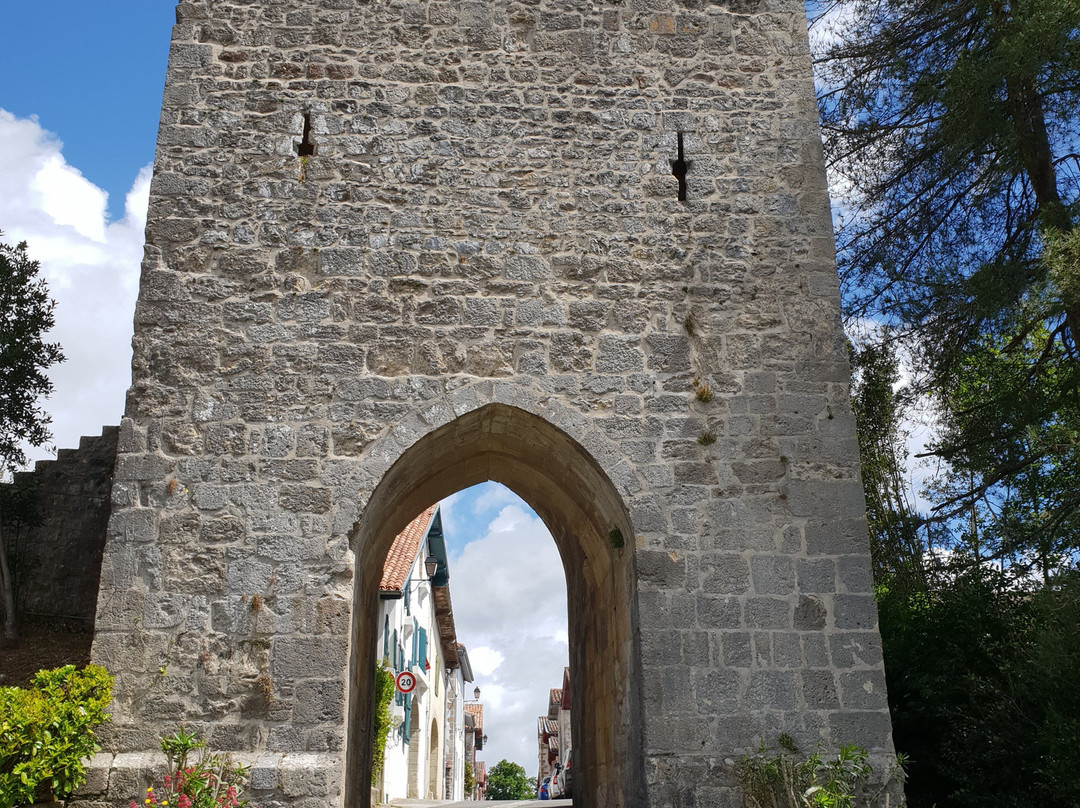 Bastide d'Hastingues.景点图片