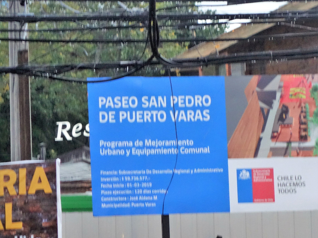 Paseo Puerto Varas-巴拉斯港必去景点