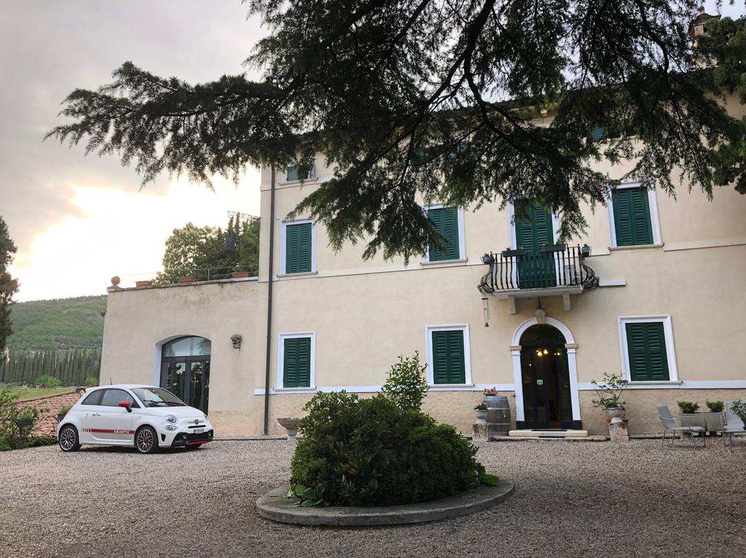 Villa Monteleone主图