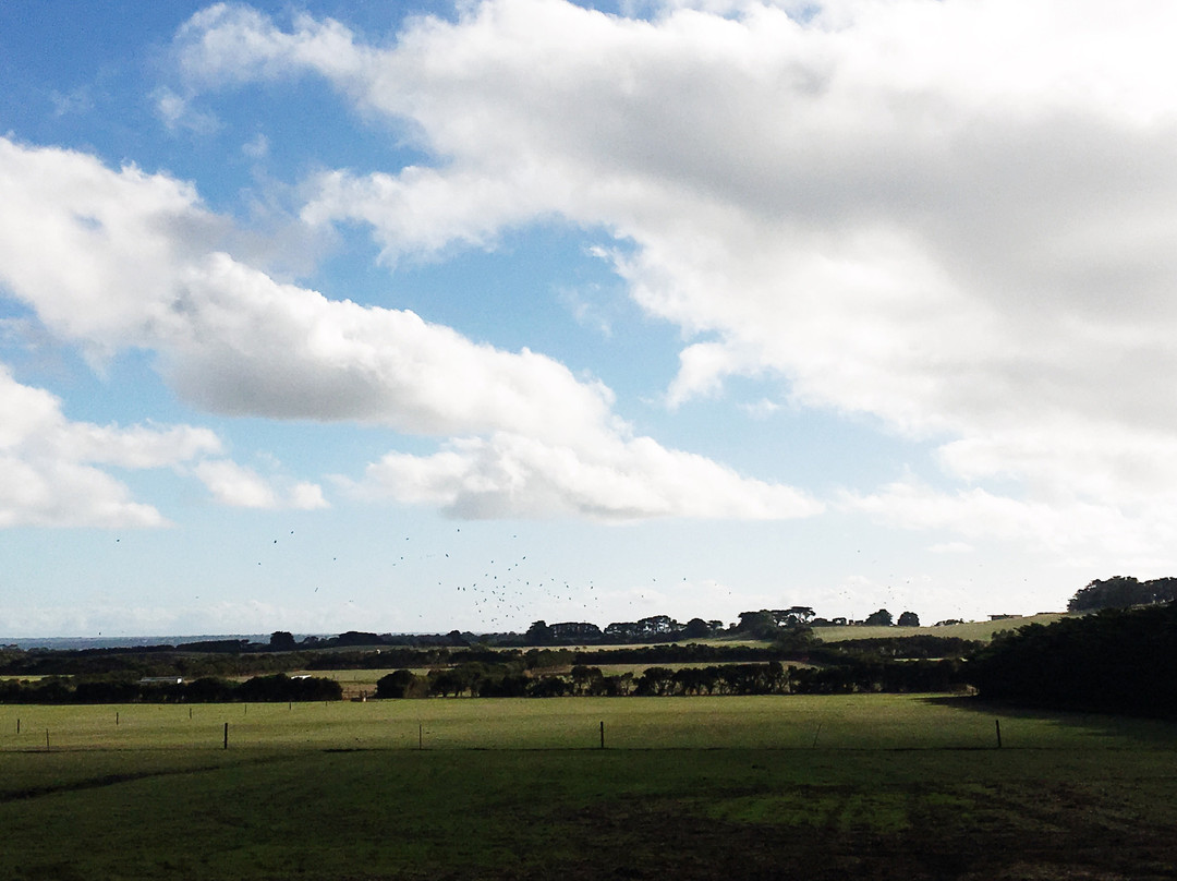 Bimbadeen Phillip Island-Ventnor必去景点