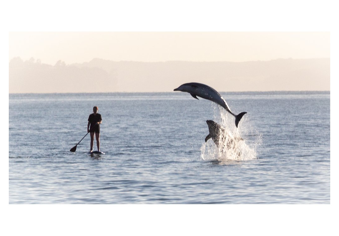 GirlsGetOutThereNZ-奥克兰中心地区必去景点