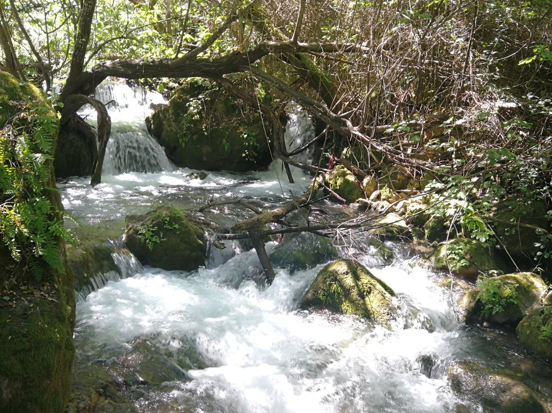 Sendero Rio Majaceite景点图片