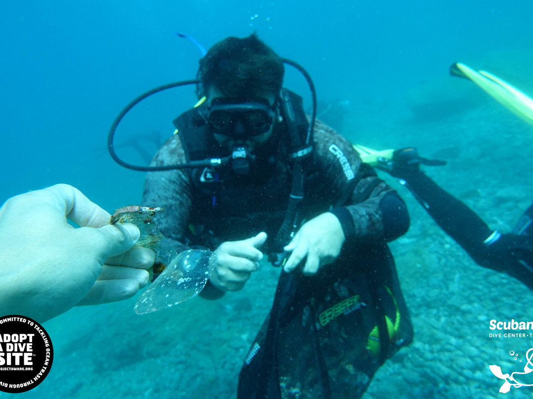 Scubanana Dive Center-圣克鲁斯-德特内里费必去景点