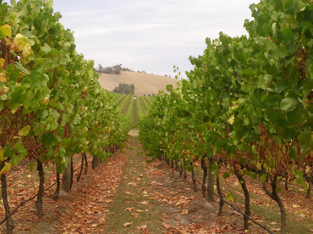 Yarra Valley Private Group Tours景点图片