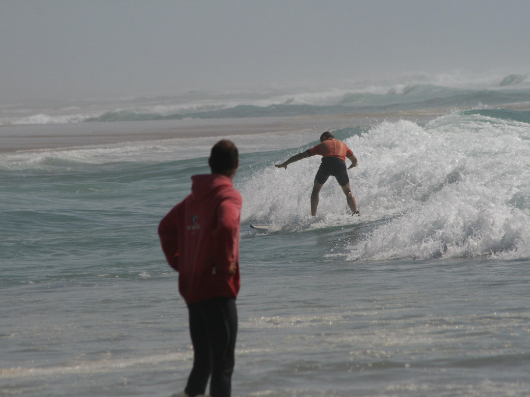 One Palm école de surf/surfshop景点图片