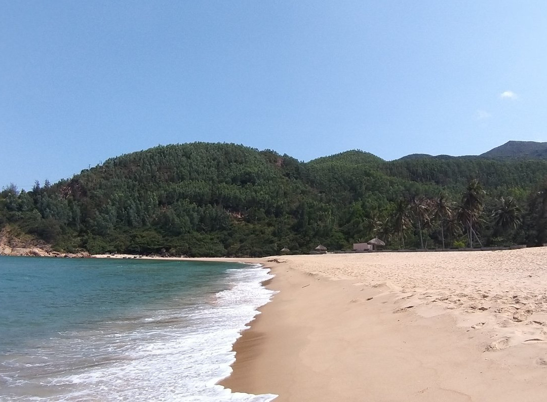 Quy Hoa Beach景点图片