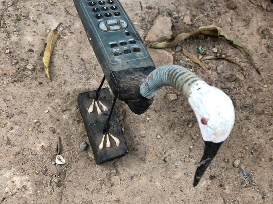 Bissau Main Market-Bissau必去景点