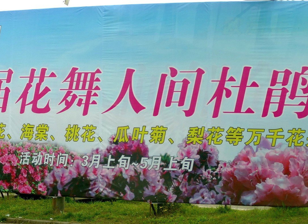 花舞人间旅游景区-新津县必去景点