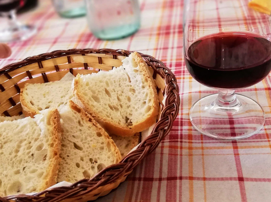 Il Querceto