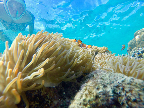 Tip-Top Destination-普吉镇必去景点