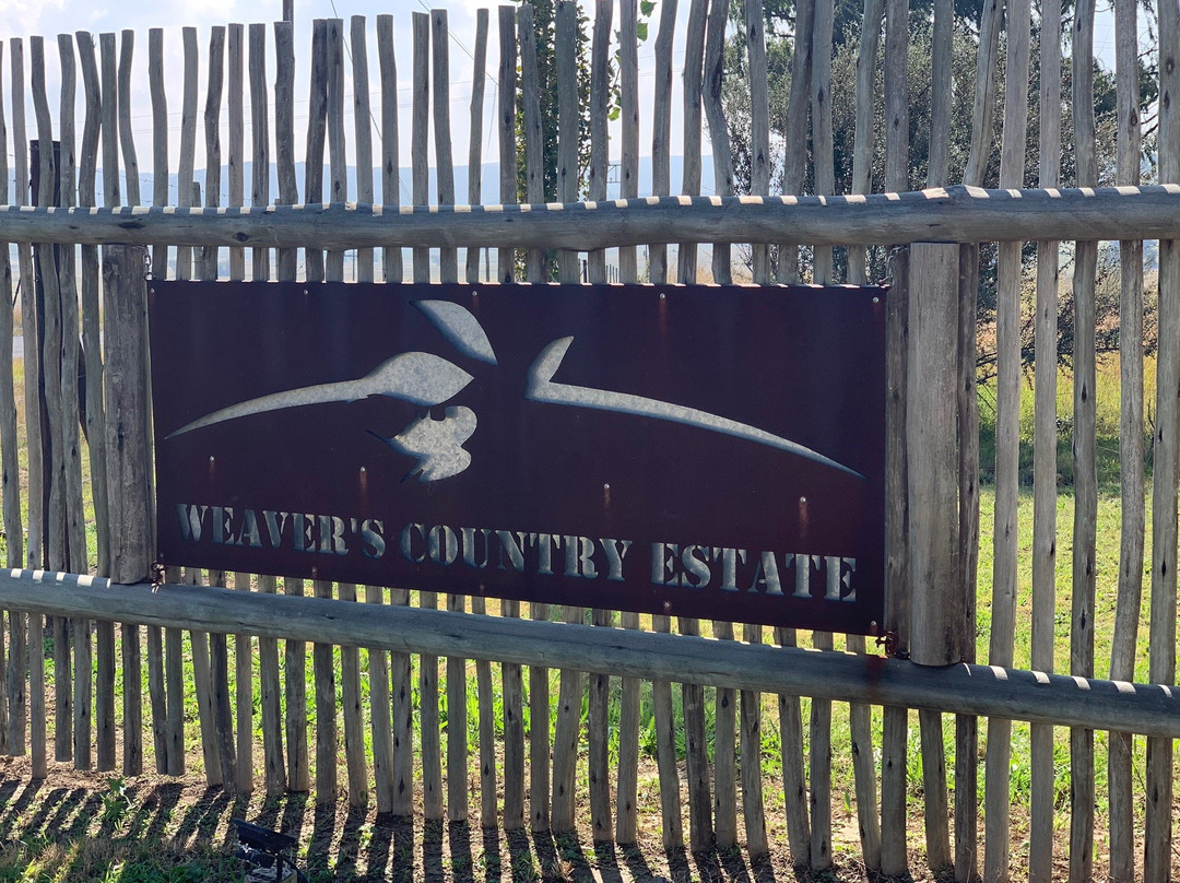 Social Weaver Country Lodge主图