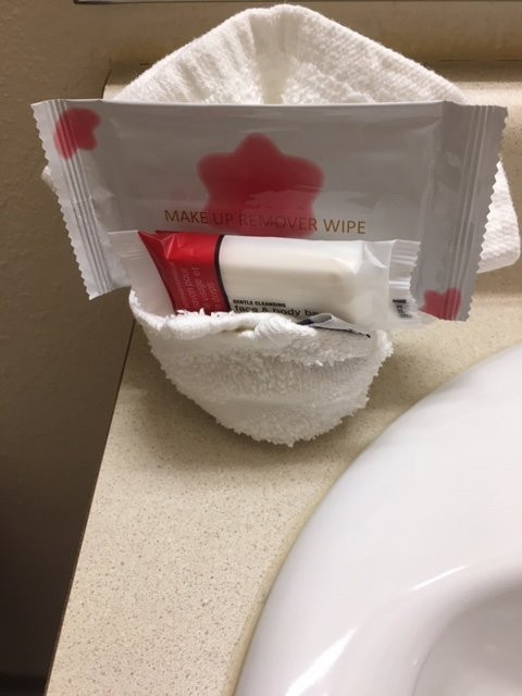 Days Inn & Suites by Wyndham Rochester Mayo Clinic South主图