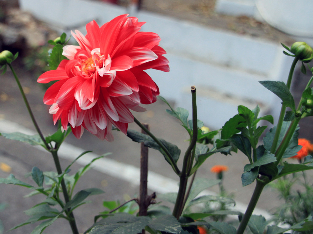 MPT Marble Rocks - Bhedaghat主图