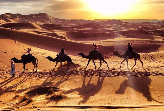 The Alternative Morocco-马拉喀什必去景点