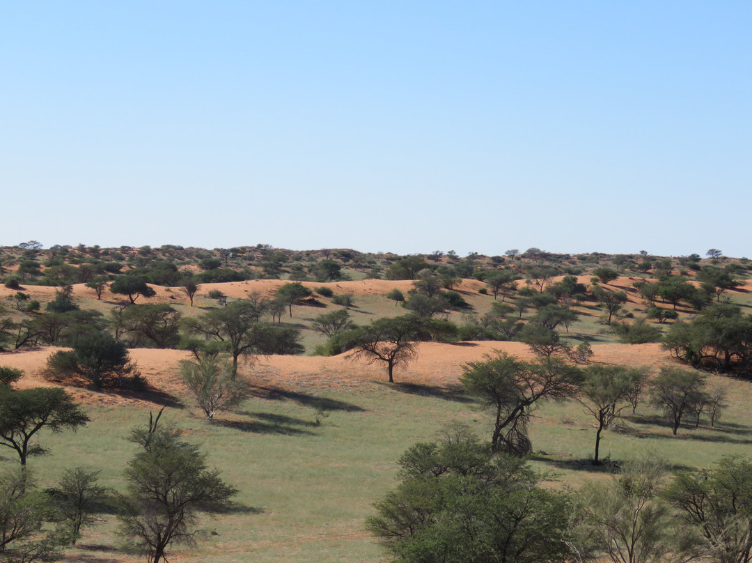 Tahiti Guesthouse, Campsite and Restaurant主图