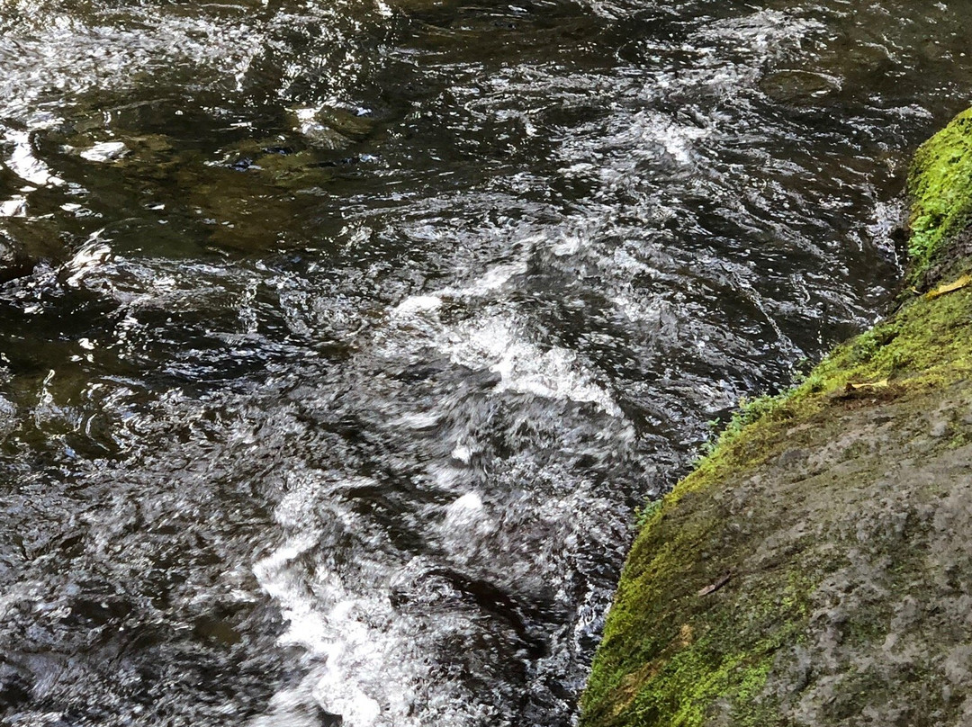 Notre Dame de Guadaloupe-Pointe-a-Pitre必去景点