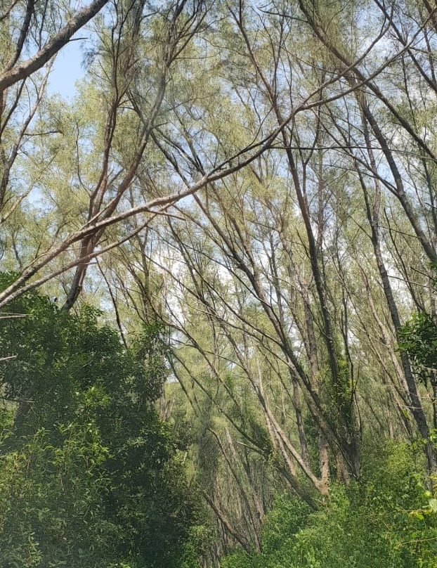 Sodwana Bay-索德瓦纳必去景点